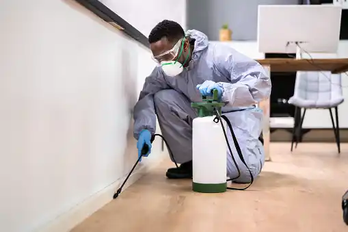 pest control North Causeway